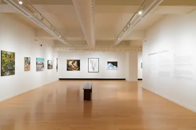 Artwork for Visual Elements 68: Annual Juried Exhibition on display in the Woodstock Art Gallery Main Gallery